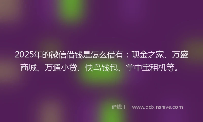 2025年的微信借钱是怎么借有：现金之家、万盛商城、万通小贷、快鸟钱包、掌中宝租机等。