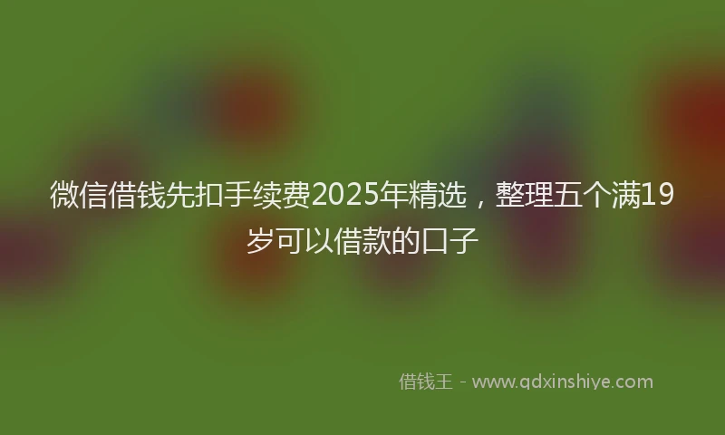 微信借钱先扣手续费2025年精选，整理五个满19岁可以借款的口子