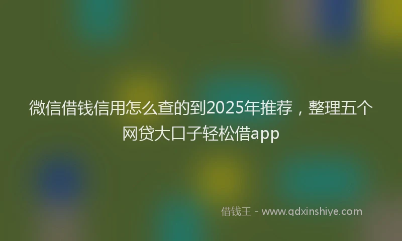 微信借钱信用怎么查的到2025年推荐，整理五个网贷大口子轻松借app