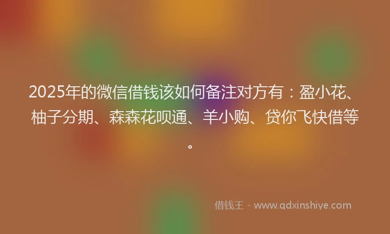 2025年的微信借钱该如何备注对方有：盈小花、柚子分期、森森花呗通、羊小购、贷你飞快借等。