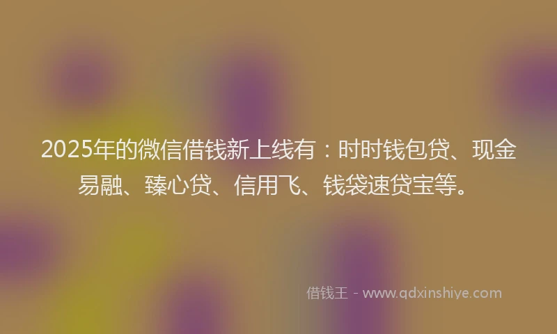 2025年的微信借钱新上线有：时时钱包贷、现金易融、臻心贷、信用飞、钱袋速贷宝等。