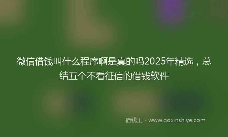 微信借钱叫什么程序啊是真的吗2025年精选，总结五个不看征信的借钱软件