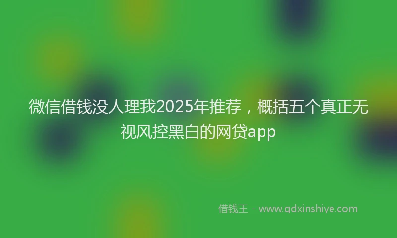 微信借钱没人理我2025年推荐，概括五个真正无视风控黑白的网贷app