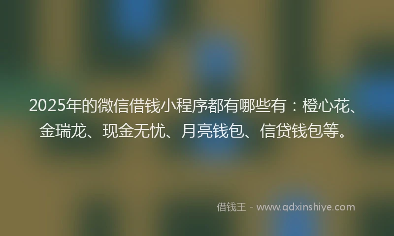 2025年的微信借钱小程序都有哪些有：橙心花、金瑞龙、现金无忧、月亮钱包、信贷钱包等。