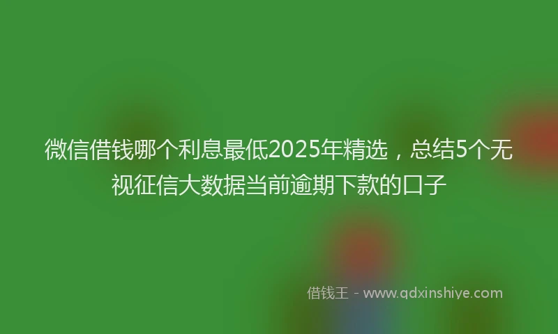 微信借钱哪个利息最低2025年精选，总结5个无视征信大数据当前逾期下款的口子