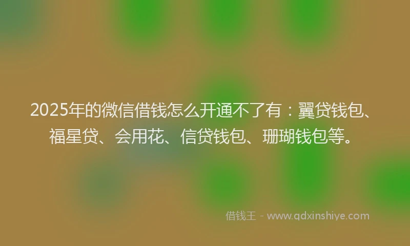 2025年的微信借钱怎么开通不了有：翼贷钱包、福星贷、会用花、信贷钱包、珊瑚钱包等。