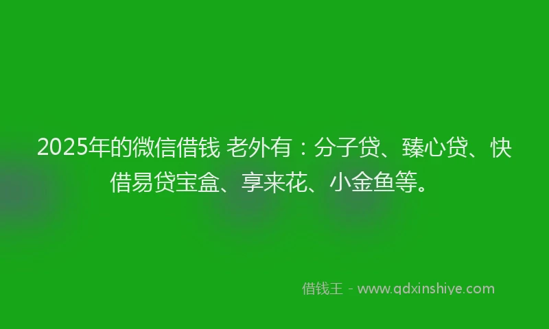 2025年的微信借钱 老外有：分子贷、臻心贷、快借易贷宝盒、享来花、小金鱼等。