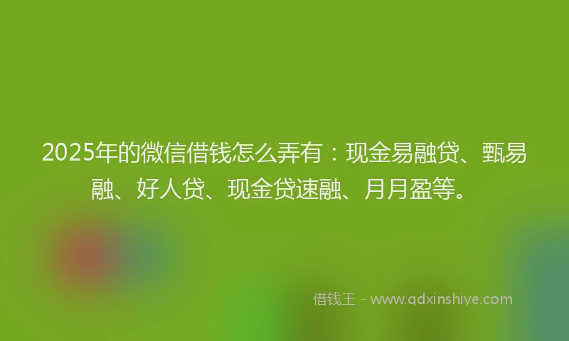 2025年的微信借钱怎么弄有：现金易融贷、甄易融、好人贷、现金贷速融、月月盈等。