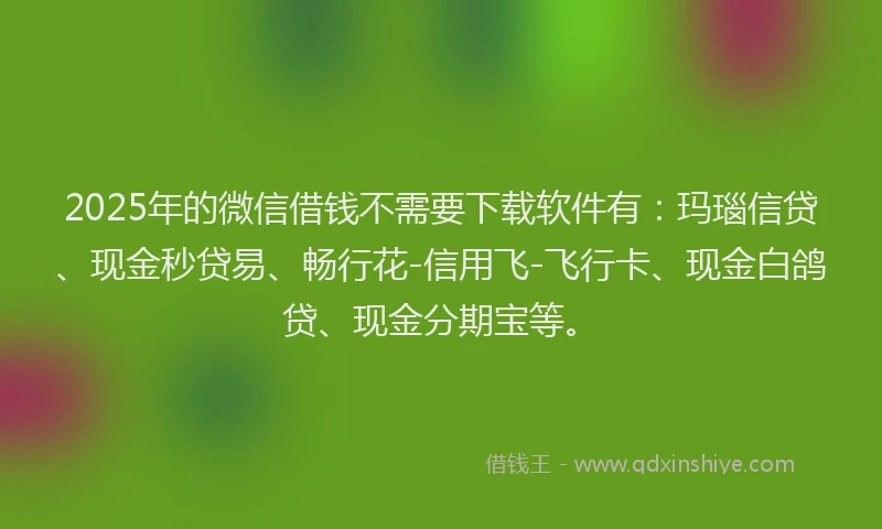 2025年的微信借钱不需要下载软件有：玛瑙信贷、现金秒贷易、畅行花-信用飞-飞行卡、现金白鸽贷、现金分期宝等。