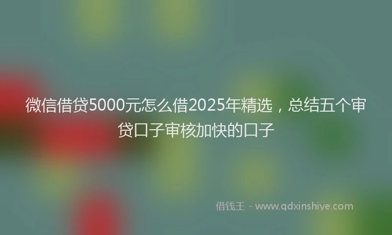 微信借贷5000元怎么借2025年精选，总结五个审贷口子审核加快的口子