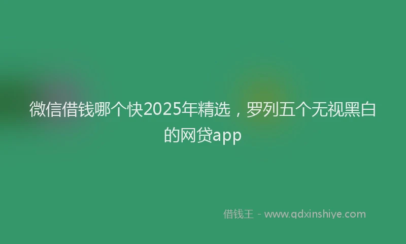 微信借钱哪个快2025年精选，罗列五个无视黑白的网贷app
