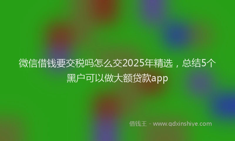 微信借钱要交税吗怎么交2025年精选，总结5个黑户可以做大额贷款app