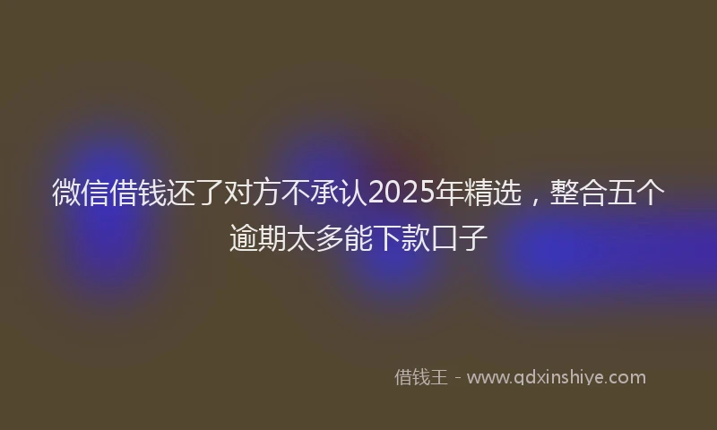 微信借钱还了对方不承认2025年精选，整合五个逾期太多能下款口子