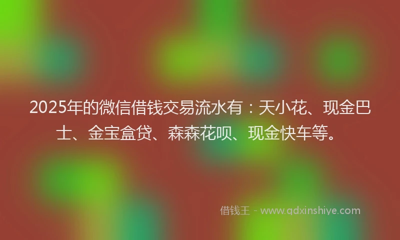 2025年的微信借钱交易流水有：天小花、现金巴士、金宝盒贷、森森花呗、现金快车等。