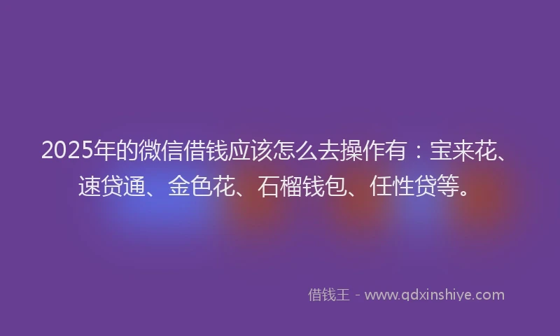 2025年的微信借钱应该怎么去操作有：宝来花、速贷通、金色花、石榴钱包、任性贷等。