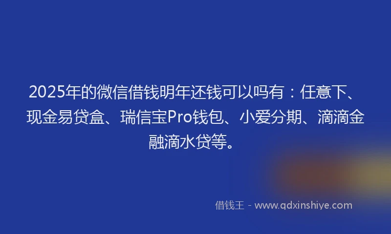 2025年的微信借钱明年还钱可以吗有：任意下、现金易贷盒、瑞信宝Pro钱包、小爱分期、滴滴金融滴水贷等。