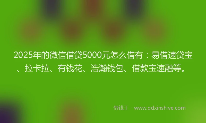 2025年的微信借贷5000元怎么借有：易借速贷宝、拉卡拉、有钱花、浩瀚钱包、借款宝速融等。