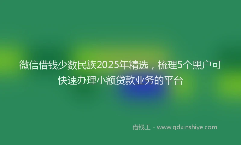 微信借钱少数民族2025年精选，梳理5个黑户可快速办理小额贷款业务的平台