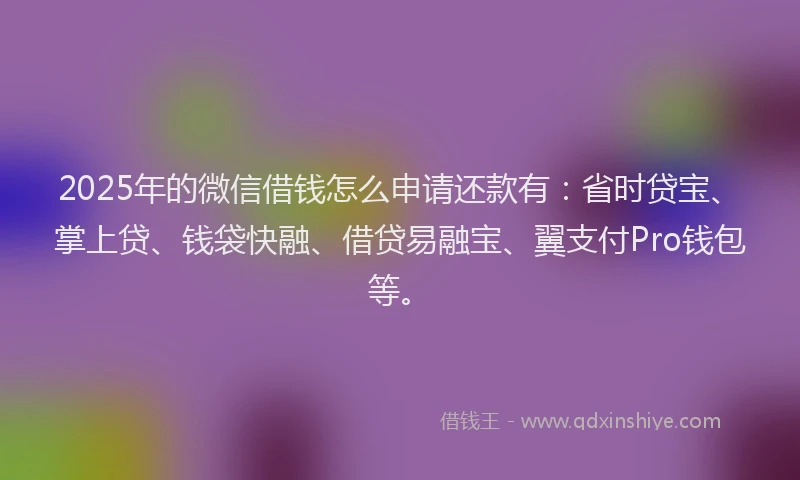 2025年的微信借钱怎么申请还款有：省时贷宝、掌上贷、钱袋快融、借贷易融宝、翼支付Pro钱包等。