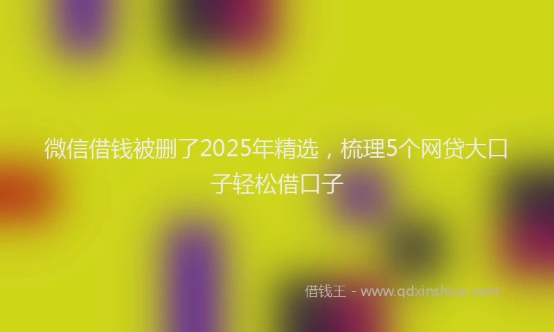 微信借钱被删了2025年精选，梳理5个网贷大口子轻松借口子