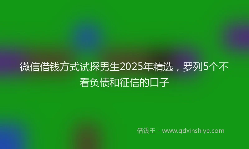 微信借钱方式试探男生2025年精选，罗列5个不看负债和征信的口子