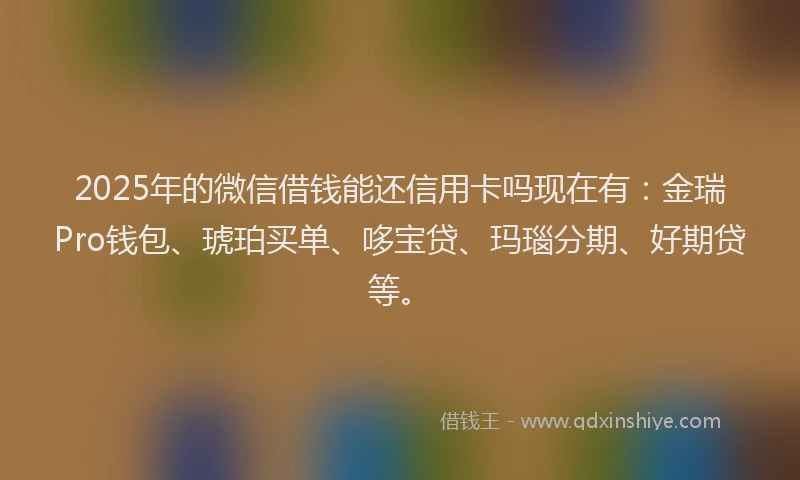 2025年的微信借钱能还信用卡吗现在有：金瑞Pro钱包、琥珀买单、哆宝贷、玛瑙分期、好期贷等。