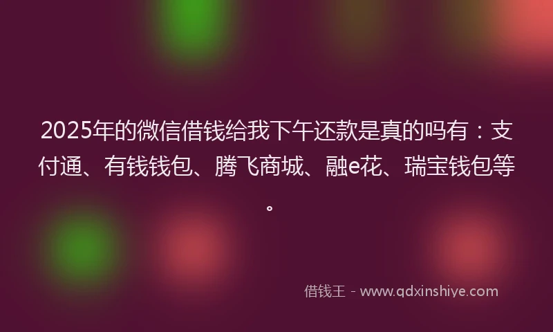 2025年的微信借钱给我下午还款是真的吗有：支付通、有钱钱包、腾飞商城、融e花、瑞宝钱包等。