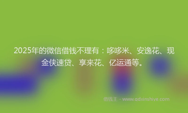 2025年的微信借钱不理有：哆哆米、安逸花、现金侠速贷、享来花、亿运通等。