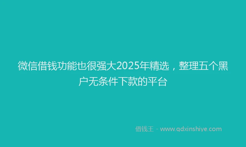 微信借钱功能也很强大2025年精选，整理五个黑户无条件下款的平台