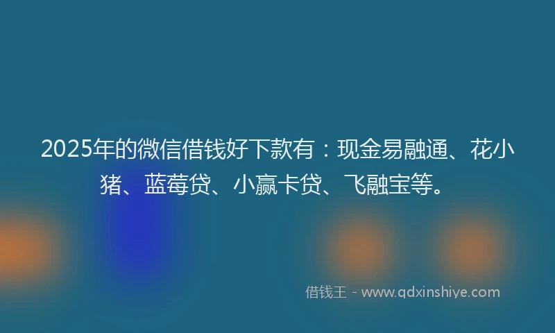 2025年的微信借钱好下款有：现金易融通、花小猪、蓝莓贷、小赢卡贷、飞融宝等。