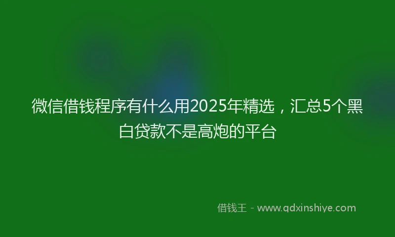 微信借钱程序有什么用2025年精选，汇总5个黑白贷款不是高炮的平台