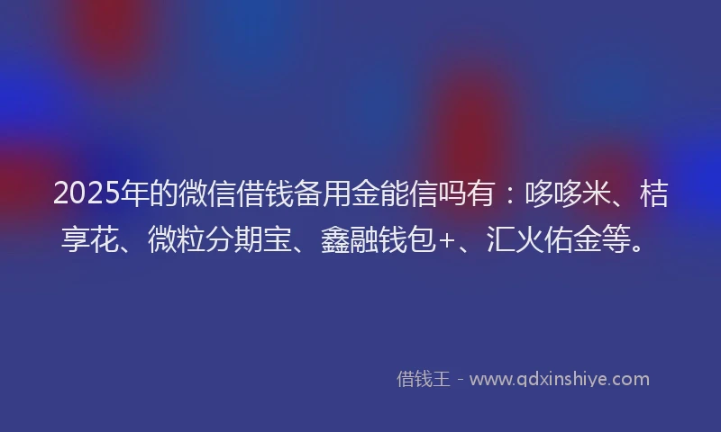 2025年的微信借钱备用金能信吗有：哆哆米、桔享花、微粒分期宝、鑫融钱包+、汇火佑金等。