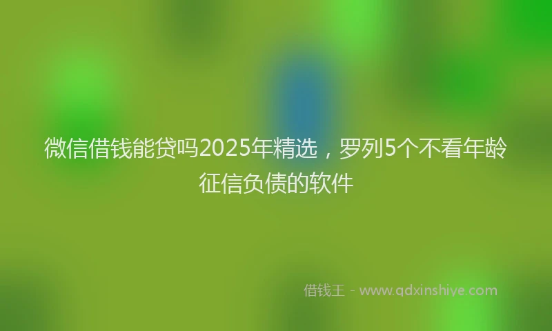 微信借钱能贷吗2025年精选，罗列5个不看年龄征信负债的软件
