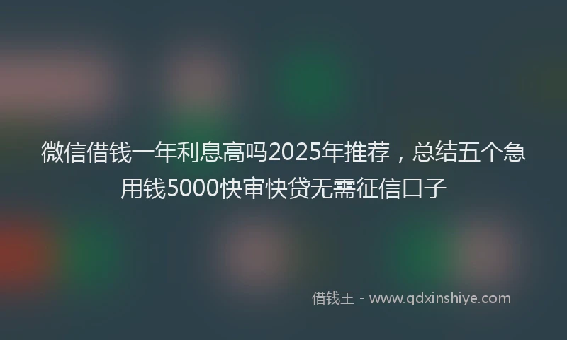 微信借钱一年利息高吗2025年推荐，总结五个急用钱5000快审快贷无需征信口子