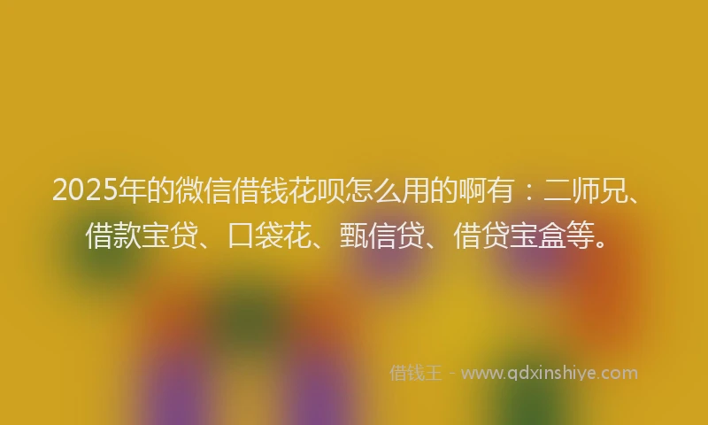 2025年的微信借钱花呗怎么用的啊有：二师兄、借款宝贷、口袋花、甄信贷、借贷宝盒等。