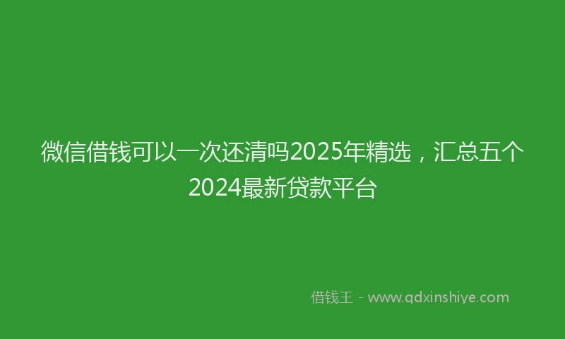 微信借钱可以一次还清吗2025年精选，汇总五个2024最新贷款平台