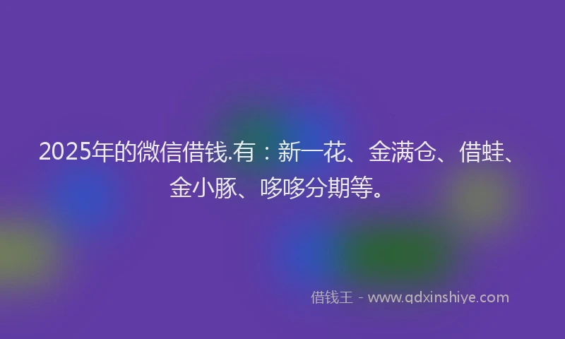 2025年的微信借钱.有：新一花、金满仓、借蛙、金小豚、哆哆分期等。