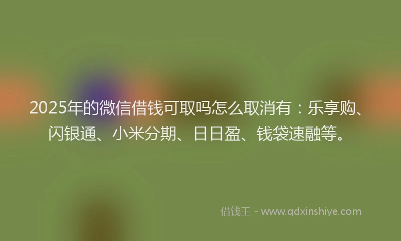 2025年的微信借钱可取吗怎么取消有：乐享购、闪银通、小米分期、日日盈、钱袋速融等。