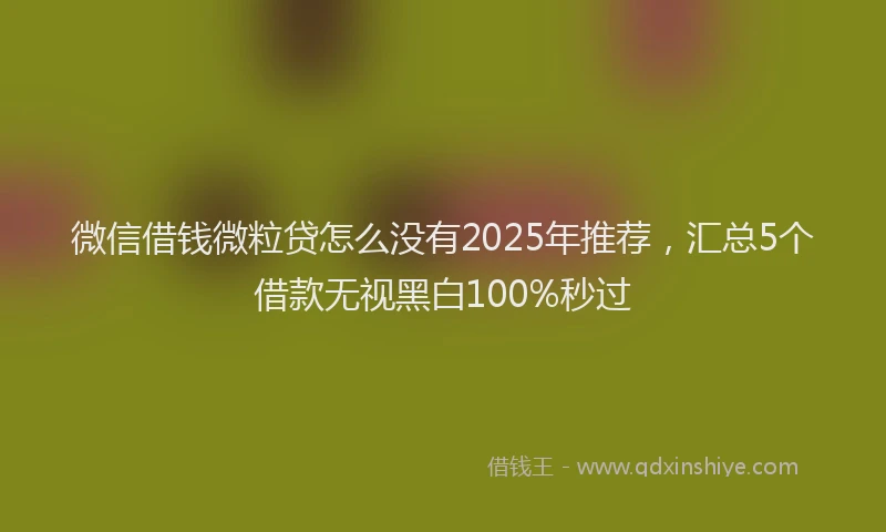 微信借钱微粒贷怎么没有2025年推荐，汇总5个借款无视黑白100%秒过