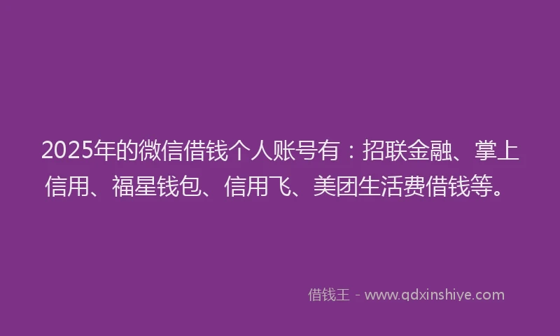 2025年的微信借钱个人账号有：招联金融、掌上信用、福星钱包、信用飞、美团生活费借钱等。