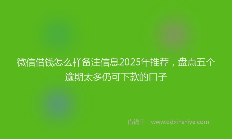 微信借钱怎么样备注信息2025年推荐，盘点五个逾期太多仍可下款的口子