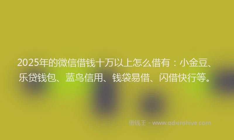 2025年的微信借钱十万以上怎么借有：小金豆、乐贷钱包、蓝鸟信用、钱袋易借、闪借快行等。