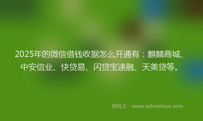 2025年的微信借钱收据怎么开通有：麒麟商城、中安信业、快贷易、闪贷宝速融、天美贷等。