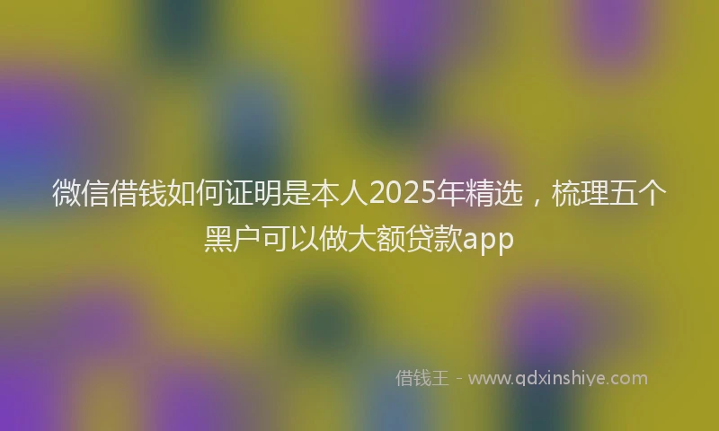 微信借钱如何证明是本人2025年精选，梳理五个黑户可以做大额贷款app