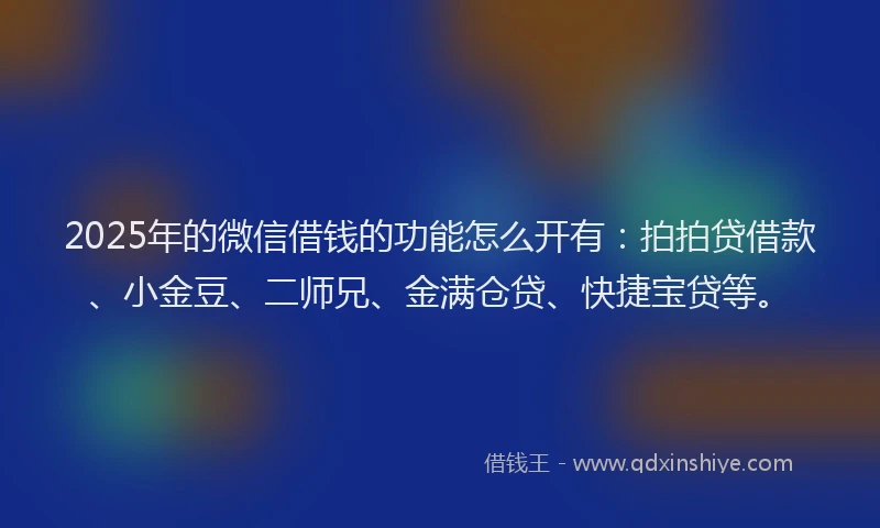 2025年的微信借钱的功能怎么开有：拍拍贷借款、小金豆、二师兄、金满仓贷、快捷宝贷等。