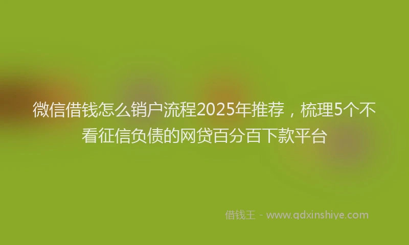 微信借钱怎么销户流程2025年推荐，梳理5个不看征信负债的网贷百分百下款平台