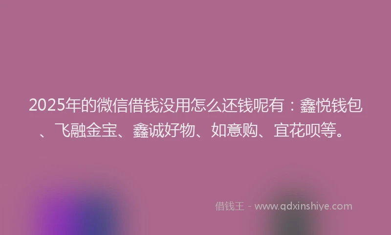 2025年的微信借钱没用怎么还钱呢有：鑫悦钱包、飞融金宝、鑫诚好物、如意购、宜花呗等。