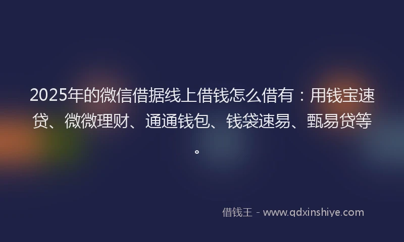 2025年的微信借据线上借钱怎么借有：用钱宝速贷、微微理财、通通钱包、钱袋速易、甄易贷等。