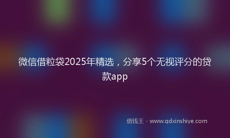 微信借粒袋2025年精选，分享5个无视评分的贷款app