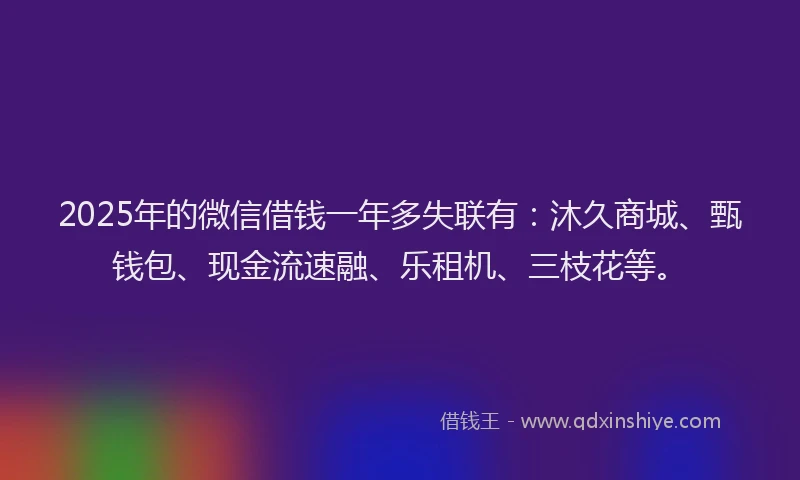 2025年的微信借钱一年多失联有：沐久商城、甄钱包、现金流速融、乐租机、三枝花等。